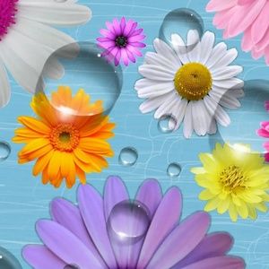 Meet your Posher, Teri